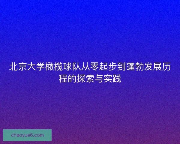 北京大学橄榄球队从零起步到蓬勃发展历程的探索与实践